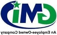 GMI公司的标志